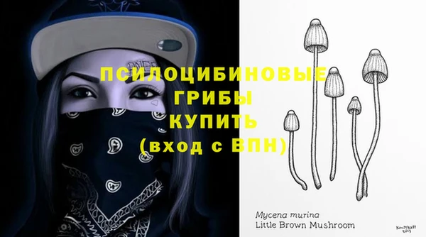 гидропоника Карпинск
