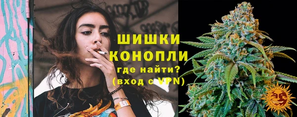 гидропоника Карпинск