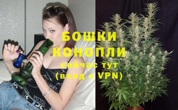 гидропоника Карпинск