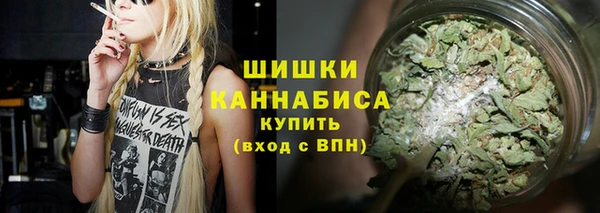 гидропоника Карпинск